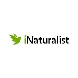 How and Why to Use iNaturalist