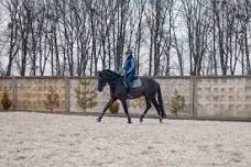 Mounted Rider Performance Clinic (Physio and Coach)