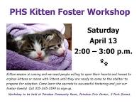 Workshop: How to Foster Kittens/Cats