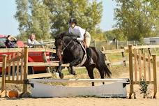 Leg Up Stables April Jumper Show