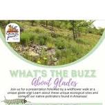 What's The Buzz About Glades