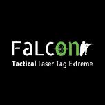 Activities for the Whole Family with Falcon Laser Tag Extreme - Pesach 2024