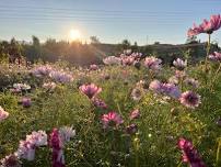 Yoga + Flowers at Antheia of Chelan