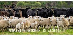 Livestock Strategies for the next 100 days - Coonalpyn