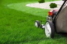 Mason City Yard Waste Season Resumes 