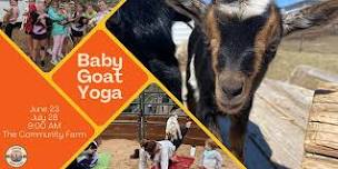 Baby Goat Yoga