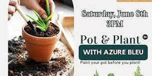 Pot & Plant