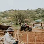 Curso de Agricultura Sintrópica