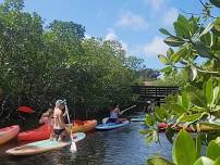 Tropical SUP and Kayak Tour