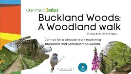 Buckland Woods Walk - Spring Walking Festival