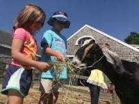 Farm Explorers at Weir River Farm