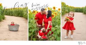 August Sunflower Mini Sessions