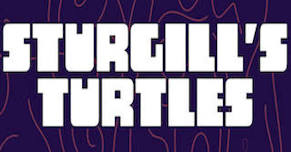 Sturgill’s Turtles – LIVE at Stovehouse