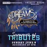 Dreams - Fleetwood Mac Tribute