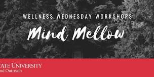 Wellness Wednesday Workshops-Mind Mellow