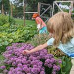 Family Night at JD Rivers' Garden