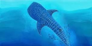 Ningaloo Whale Shark paint & sip_June_2