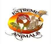 Extreme Animals