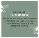 Brood Box Grand Opening