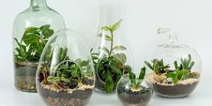 Terrarium Workshop