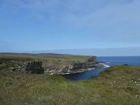 Mull Head Wildlife Walk