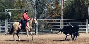 EOI WELD Cattle Clinic with Andrew Simms