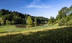 Guided tour around the Wenigerweiher