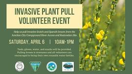 Invasive Plant Pull Volunteer Event