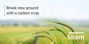 Murrayville - Soil Carbon Opportunities for Cropping and Mixed Farms