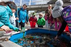 COASTAL DAY AT THE LOFOTEN AQUARIUM