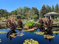 Walking Meditation at Denver Botanical Gardens