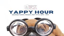 Yappy Hour with Brandywine SPCA