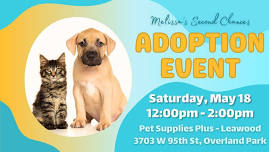 Adoption Event at Leawood Pet Supplies Plus