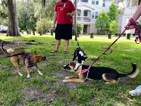 Saturday mornings are your Hound's Happy Hour