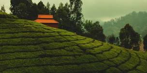 Ooty Coonoor Tour From Bangalore