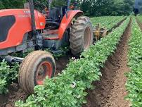 Farmer Field Day: Reduced Tillage, Cover Crops, and Crop Rotations on an Organic Vegetable Farm