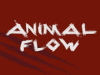 Animal Flow (11:00am – 12:00pm)