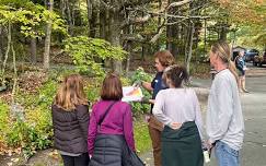 Fall Color Ramble at Grandfather Mountain