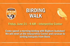 Birding Walk