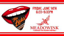 The Licks at Meadowink (Fundraiser for Children's Hospital!)