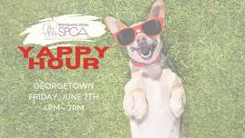 Yappy Hour with Brandywine SPCA