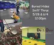 Buried Hides Sniff Thru