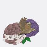 The Larks + Loose Change + The Vicks + Blind Searcher at Bourbon Theatre