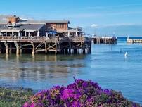 Coastal Walk with Monterey Walking Group