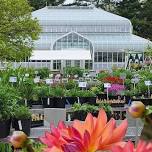 2024 Calling All Volunteers for FLPA Plant Sale!