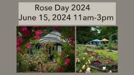 Rose Day 2024