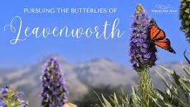 Pursuing the Butterflies of Leavenworth