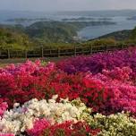 Nagushiyama Azalea Festival