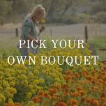 Pick Your Own Bouquet            — Park Winters