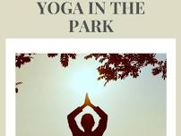 Lunchtime Yoga in the Park: Willard Park Yoga Collective